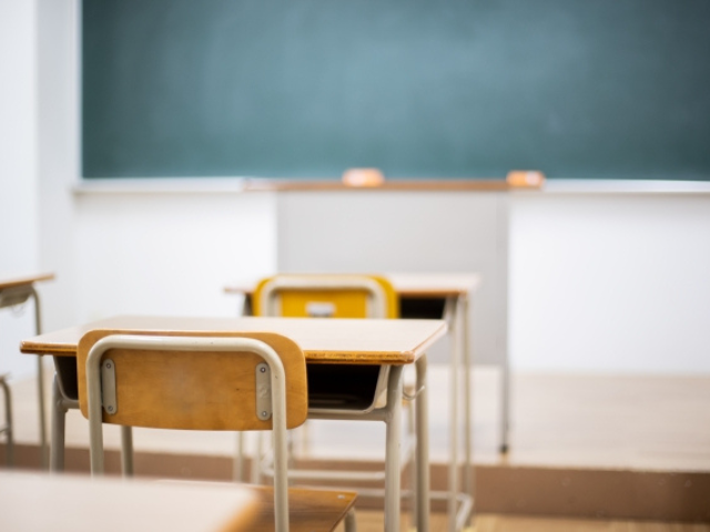 りせとルイスりせの仕事は?高校大学も調査!